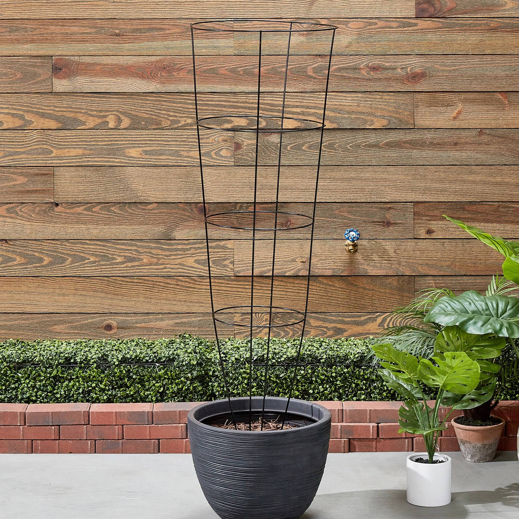 54 x 16 in. Heavy Duty Tomato Cage Black - Pack of 30 W1437