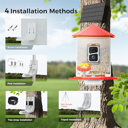 Bird Feeder with Camera N188018