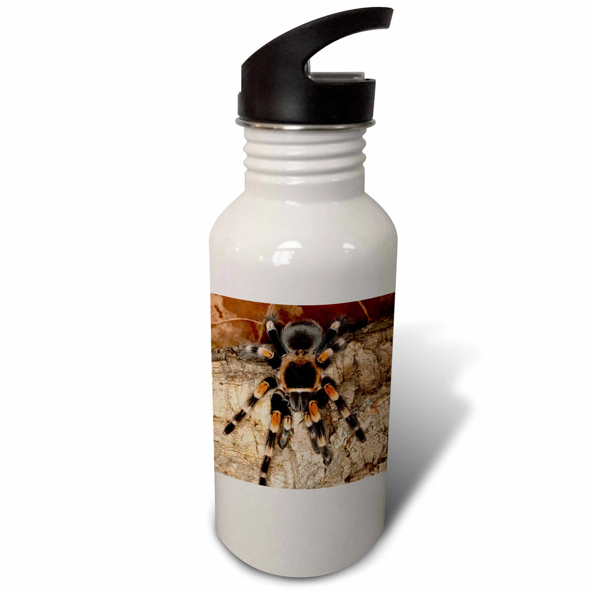Sports Water Bottle X4314