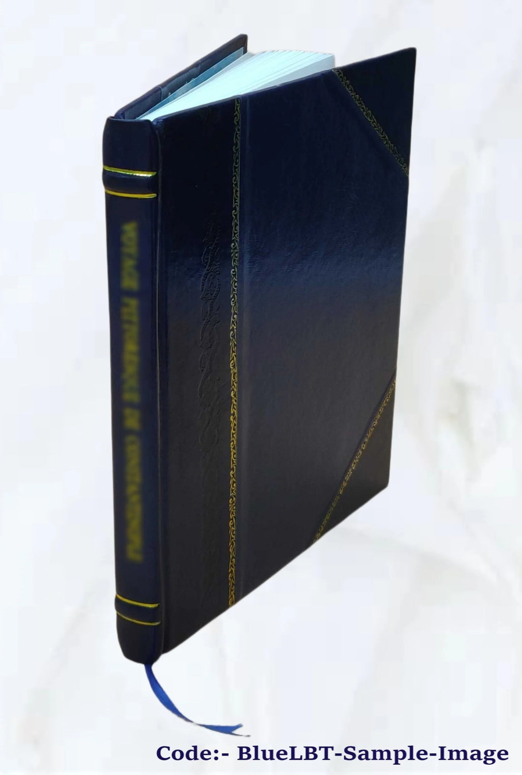 American Spelling Book D46421
