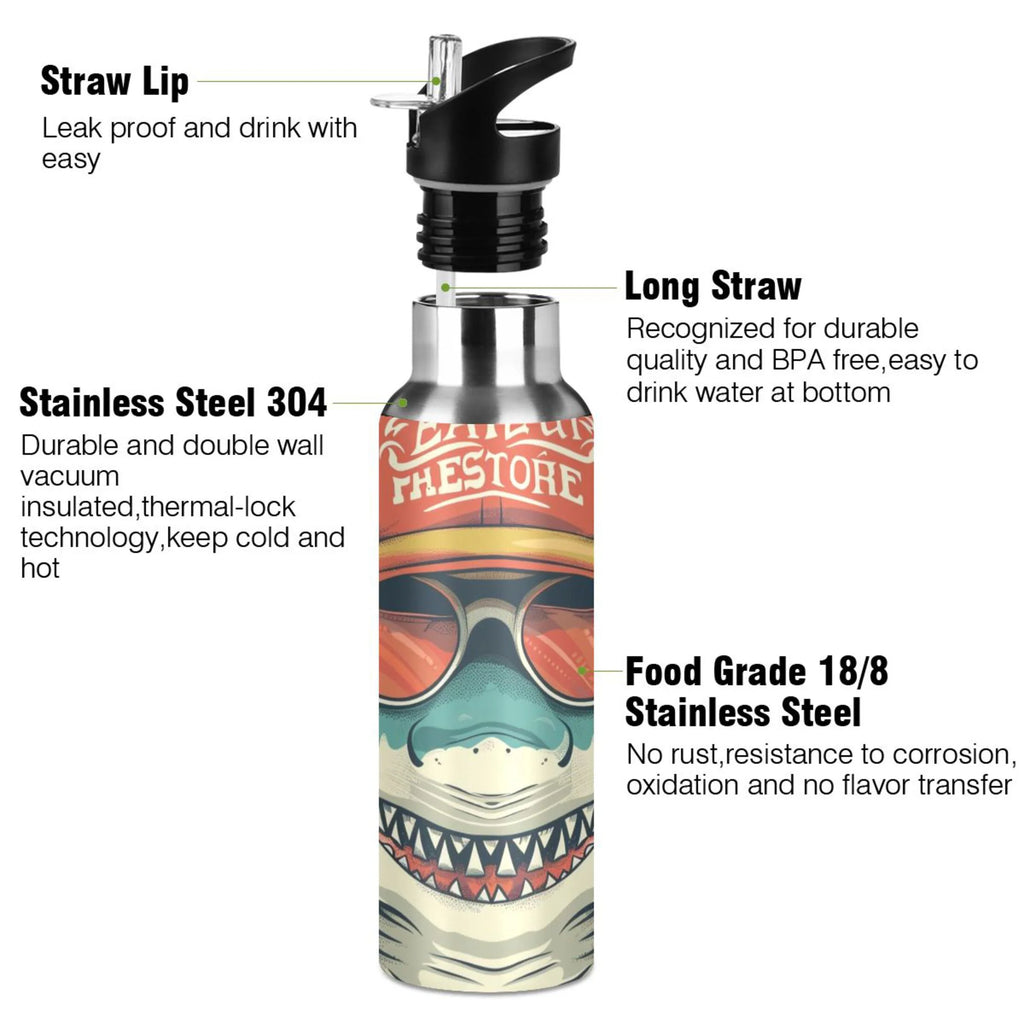 Insulated Stainless Steel Water Bottle with Straw Lid, 20 oz S975047