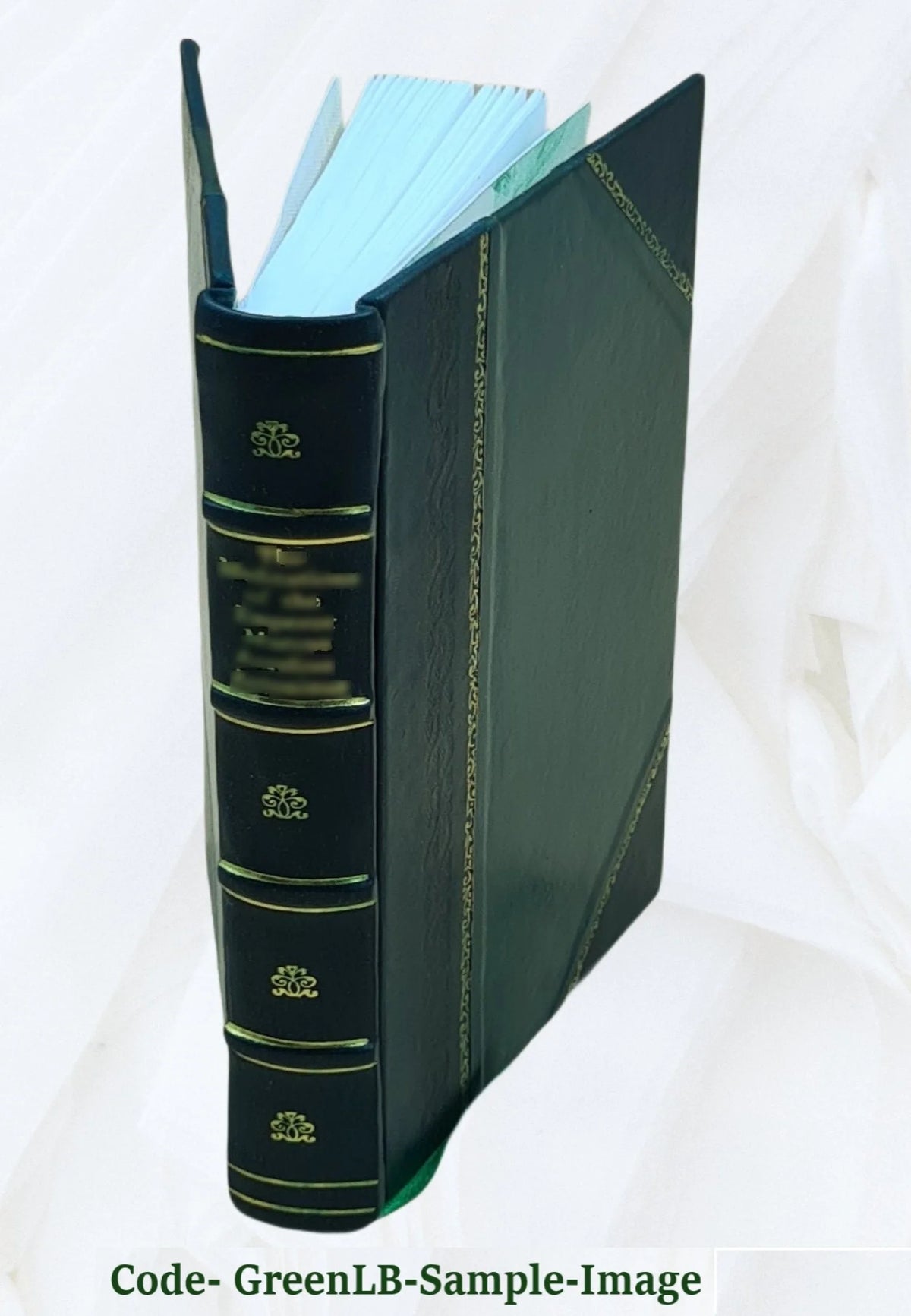 Interurban Passenger Service Report L76137