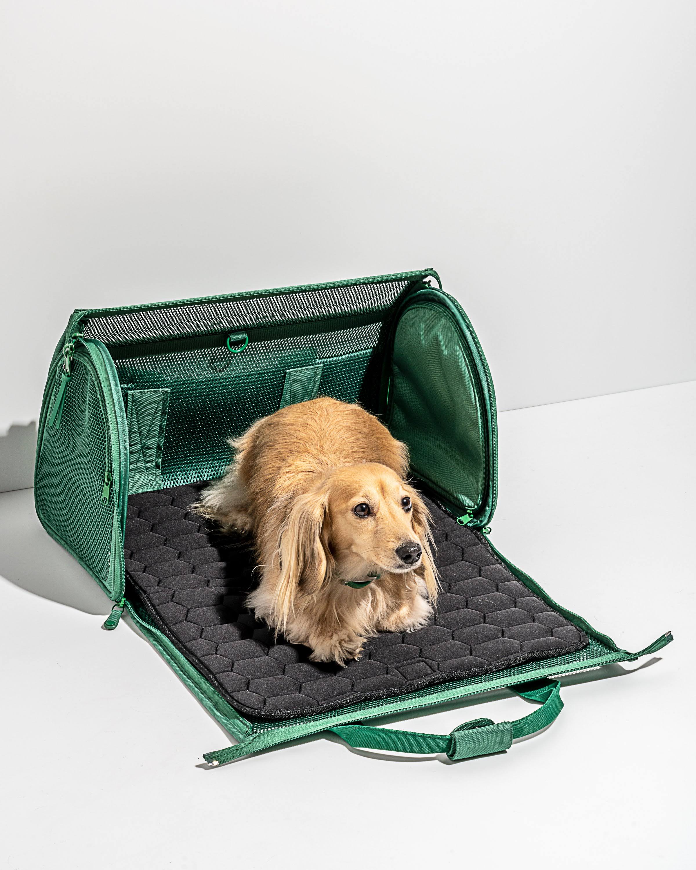 Black Travel Carrier R69670