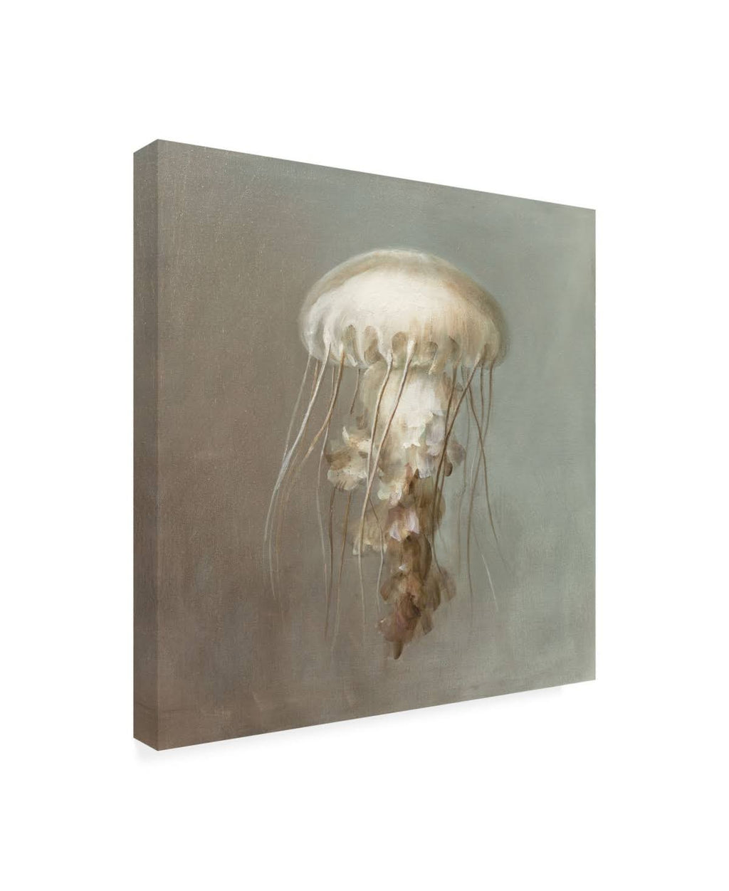 Treasures from The Sea Art Print F26839