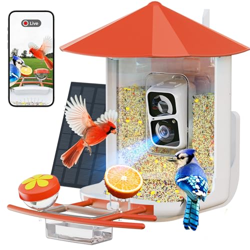 Bird Feeder with Camera N188018