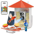 Bird Feeder with Camera N188018