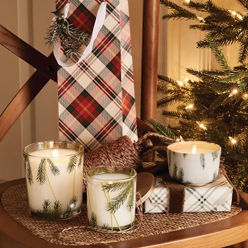 Frasier Fir Pine Needle Candle (2 oz) L3312