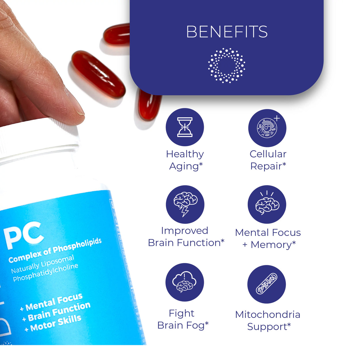 8 fl. oz. Phosphatidylcholine Supplement Y44821