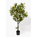 Tree in Pot C7680
