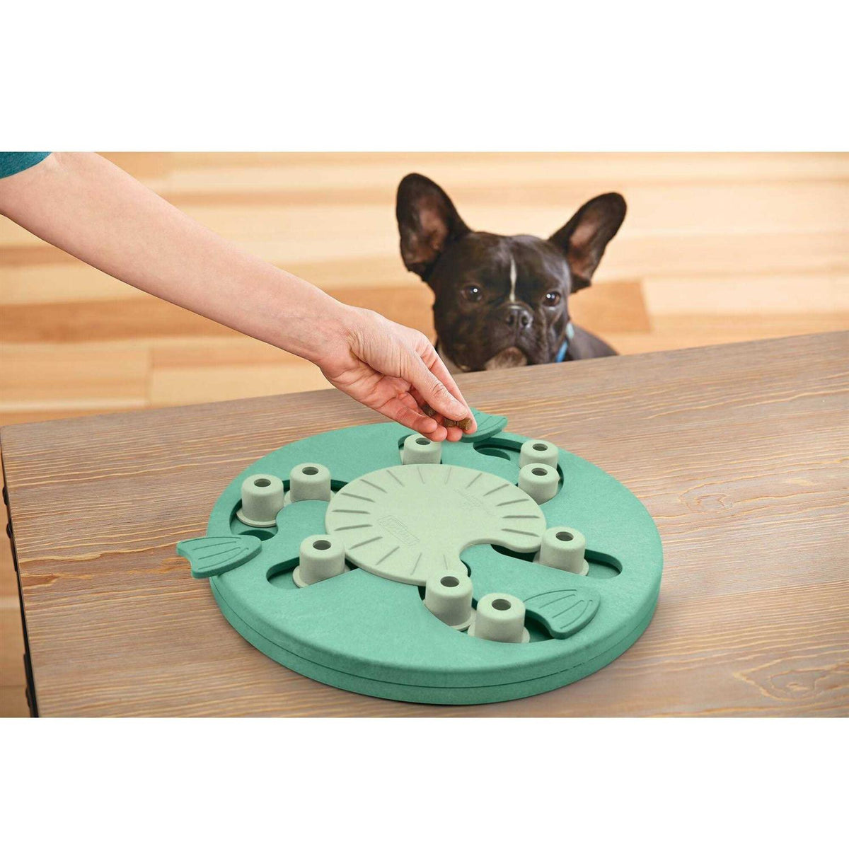 Interactive Puzzle Dog Toy T40474