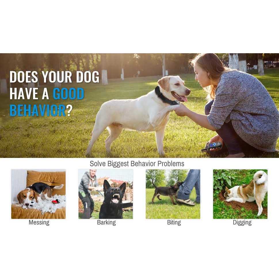 Rechargeable Dog Training Collar with Remote P48158
