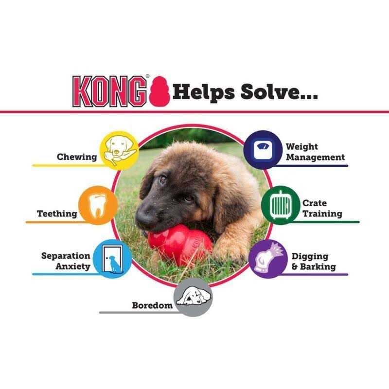 Senior Dog Toy U443657