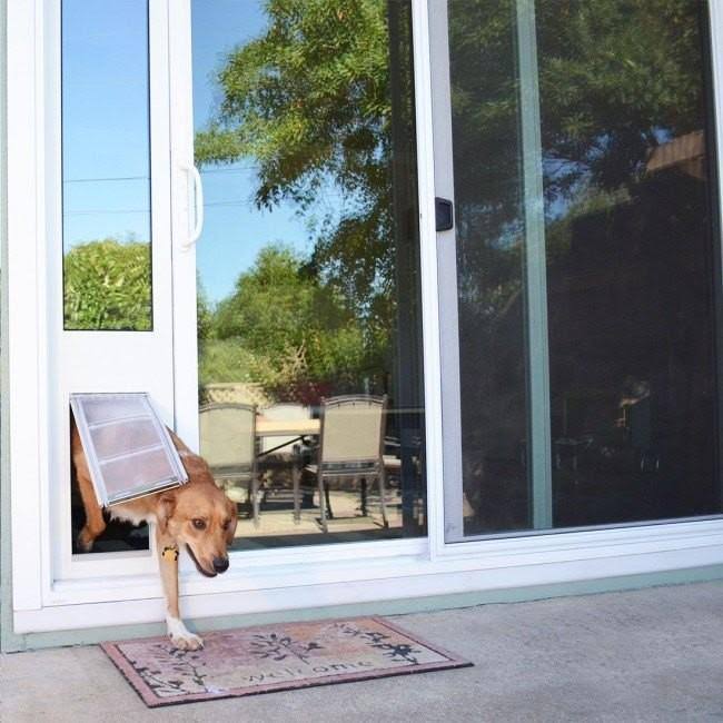 Bronze Frame Extra Large Pet Door Thermo Panel L98704