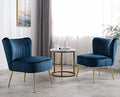 Velvet Accent Chairs Set of 2 with Golden Legs D3008