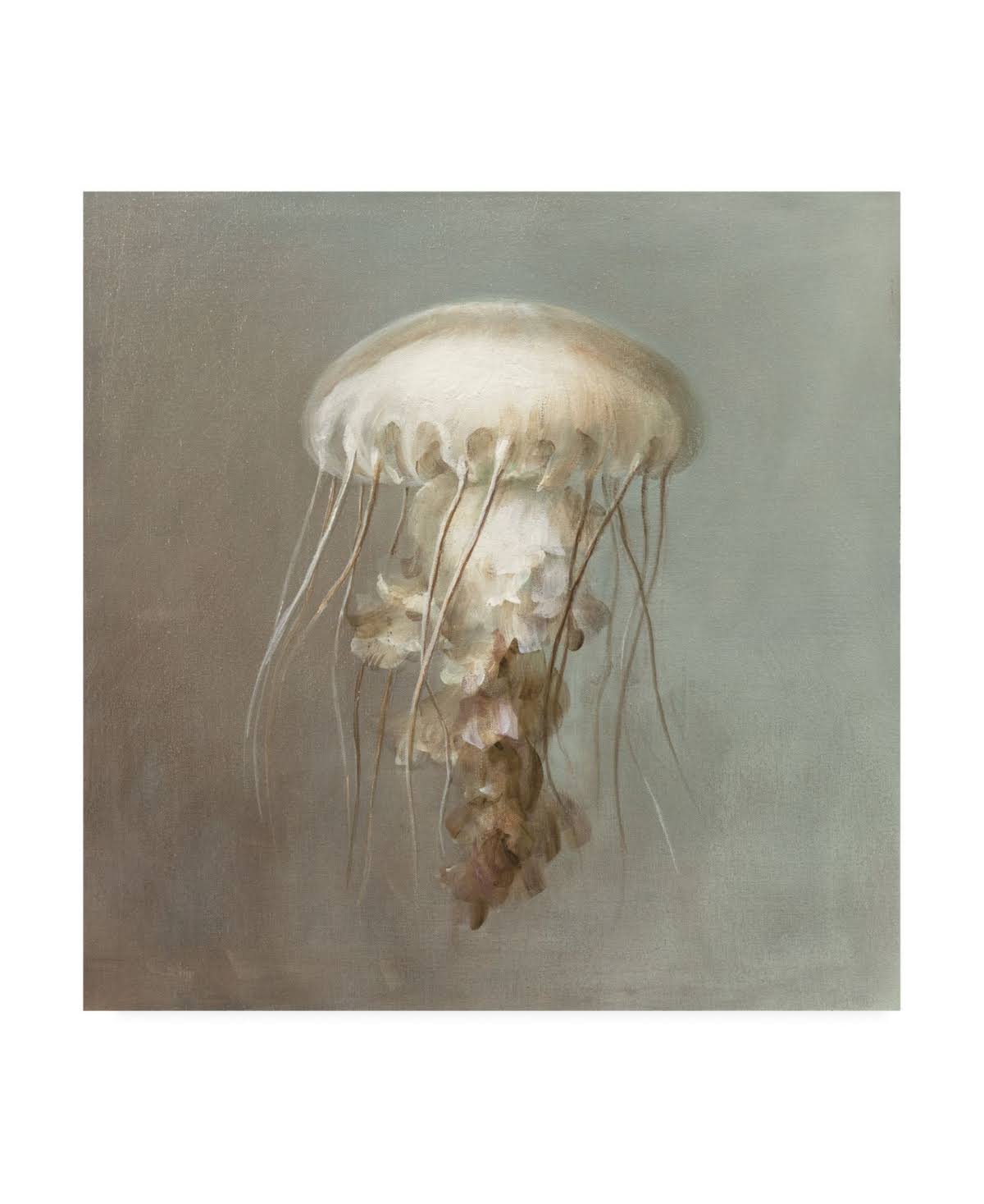 Treasures from The Sea Art Print F26839