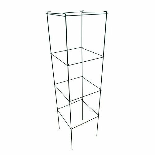 Green Square Folding Tomato Cage Plant Support Tower 12 inch by 46 inch, Pack of 5 Sets O405