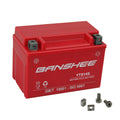 Motorsports Battery G65387
