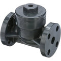 Check Valve, 1 in, Inline Swing, PVC, Flange x Flange S157501