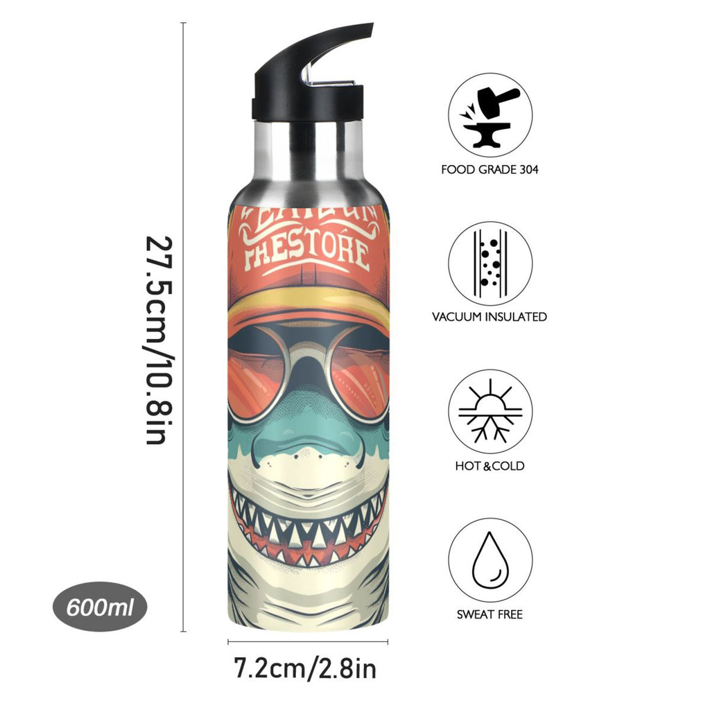 Insulated Stainless Steel Water Bottle with Straw Lid, 20 oz S975047
