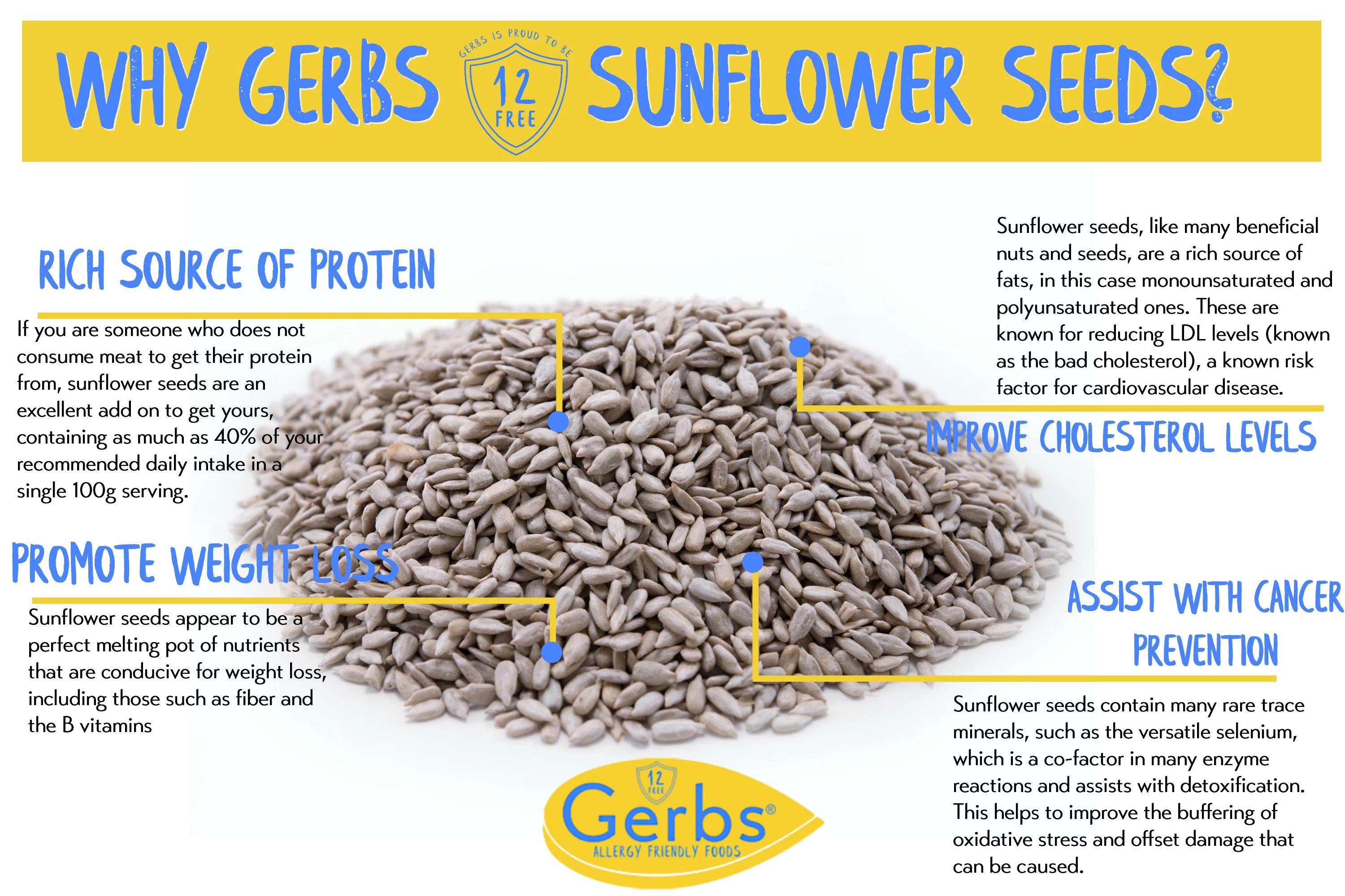 Unsalted Roasted Sunflower Seed Kernels 2 LBS Z453