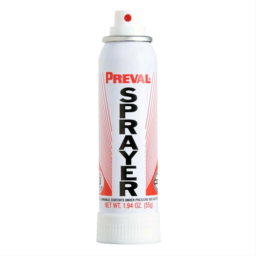 Touch Up Basecoat Spray Paint X710