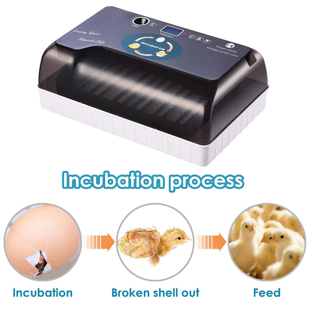9-35 Eggs Automatic Incubator Digital Poultry Hatcher R430854