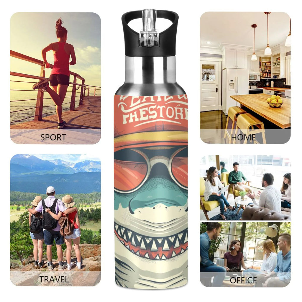 Insulated Stainless Steel Water Bottle with Straw Lid, 20 oz S975047