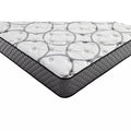 Twin Size Plush Mattress H787