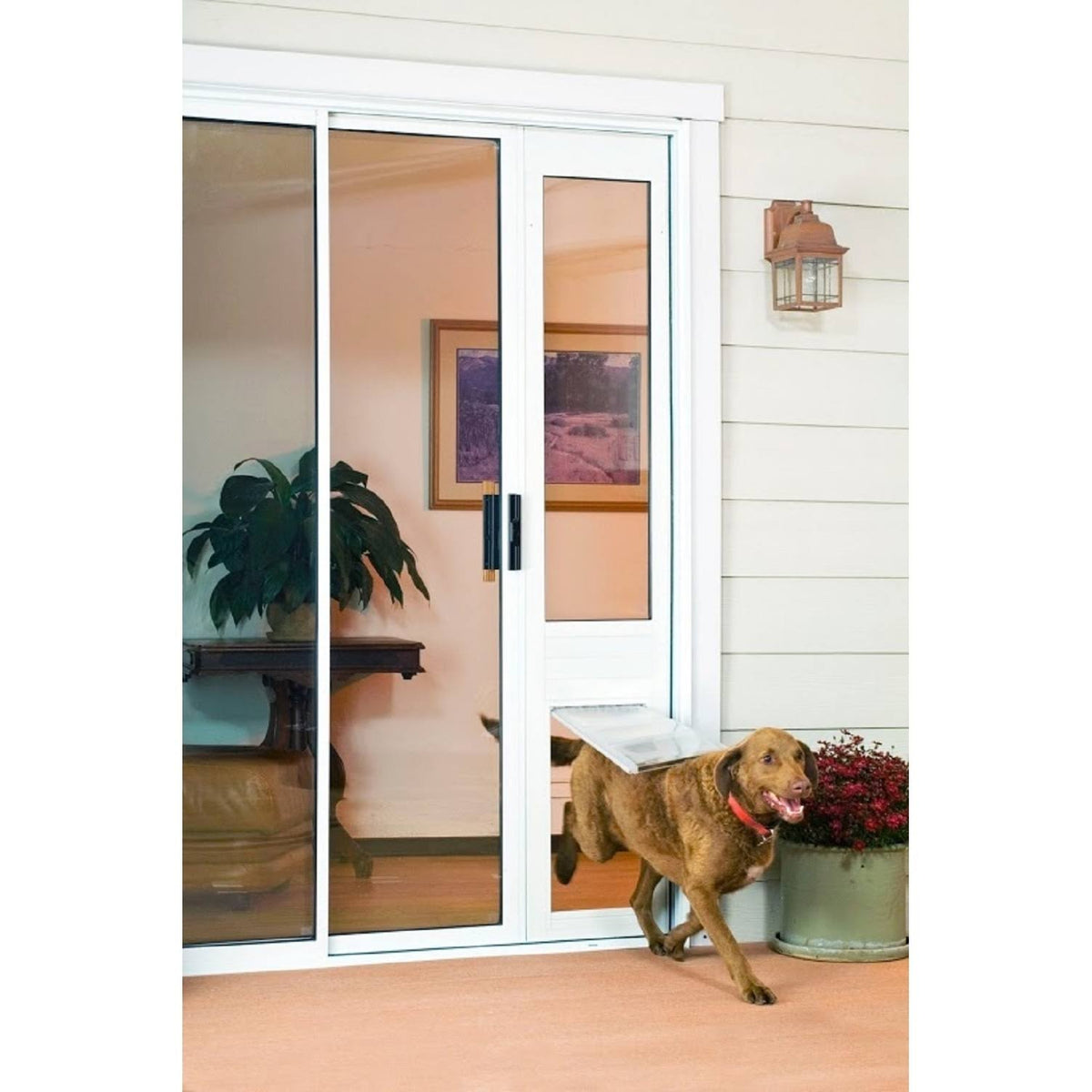 Bronze Frame Extra Large Pet Door Thermo Panel L98704