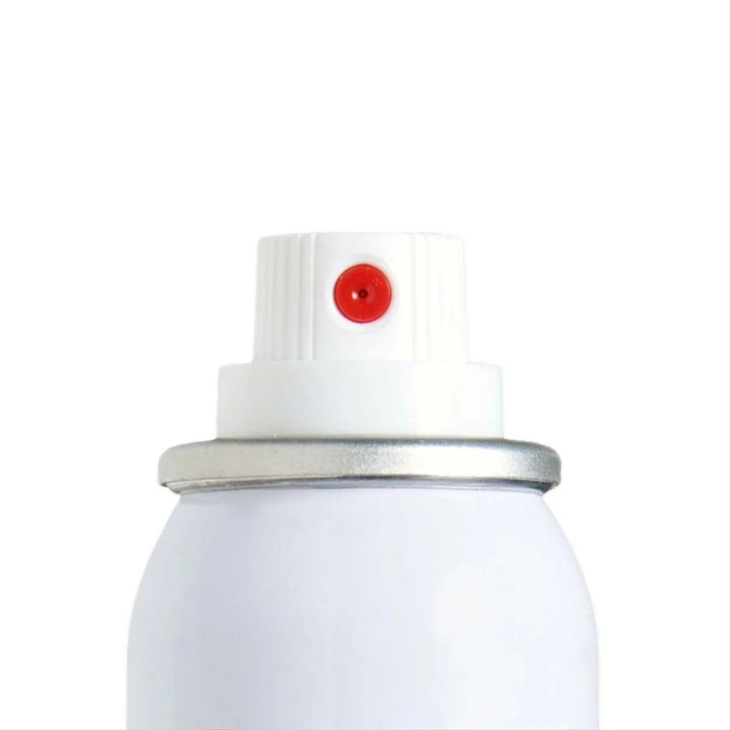 Touch Up Basecoat Spray Paint X710