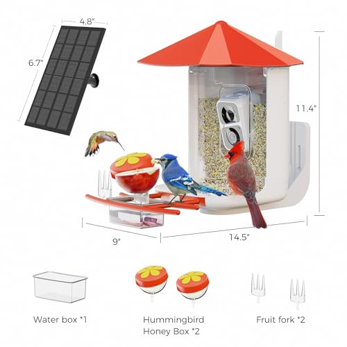 Bird Feeder with Camera N188018