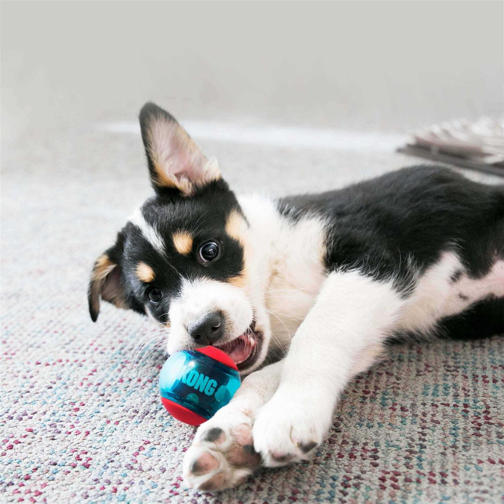Squeezz Action Ball Dog Toy V956
