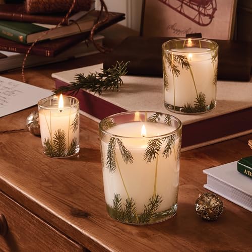 Frasier Fir Pine Needle Candle (2 oz) L3312