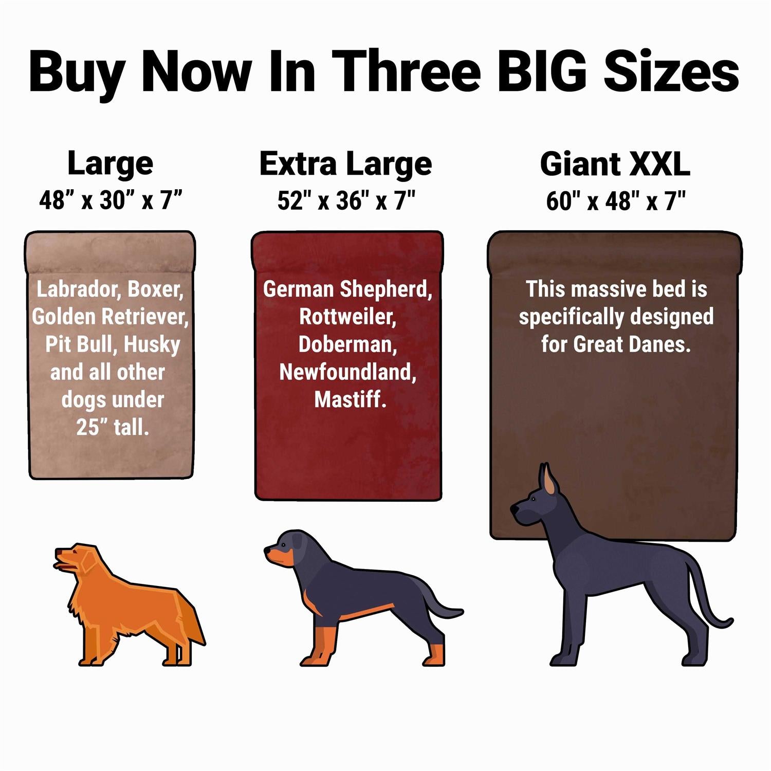 Orthopedic Dog Bed P45733