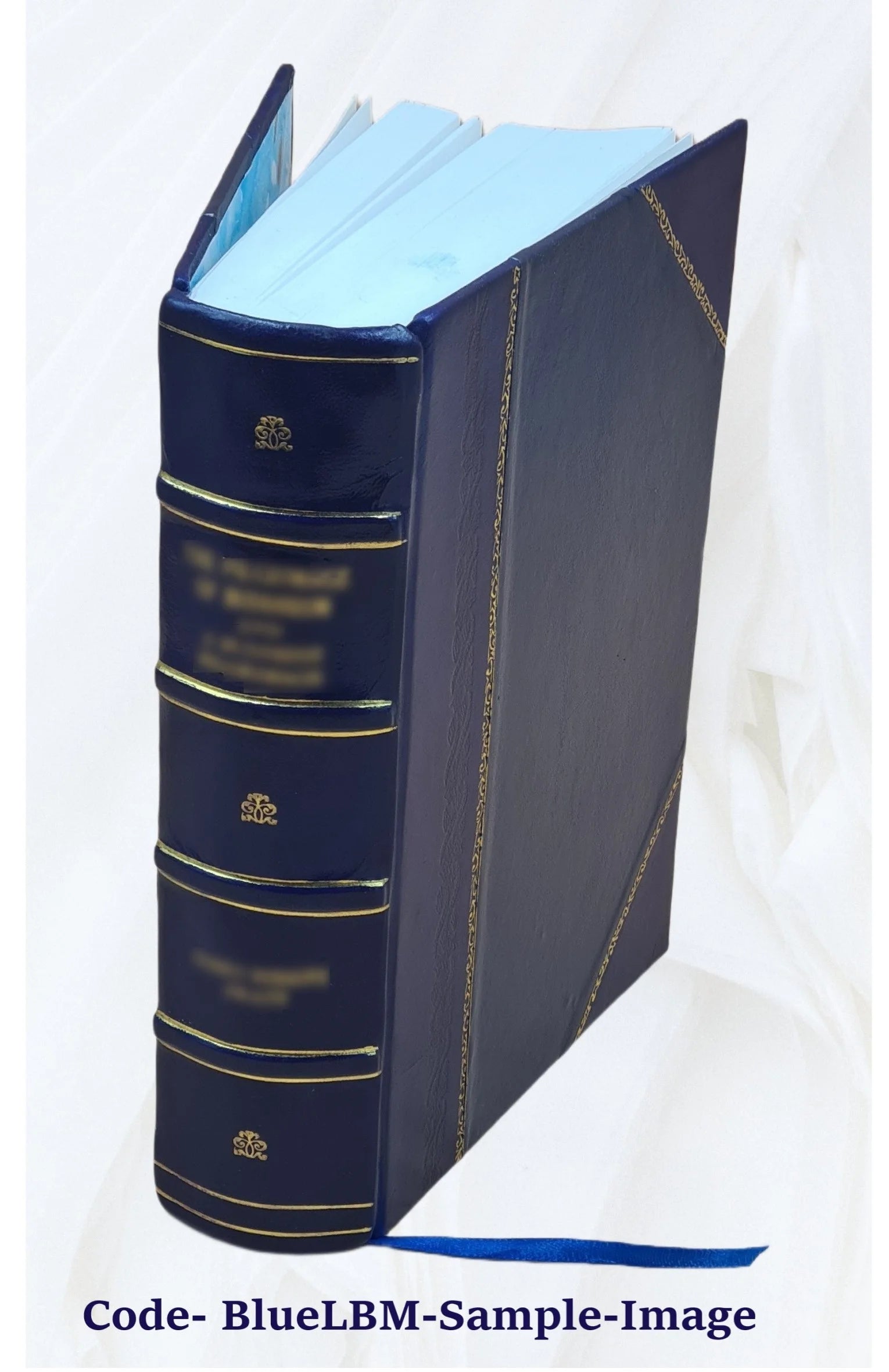 Leather Bound Book R2902