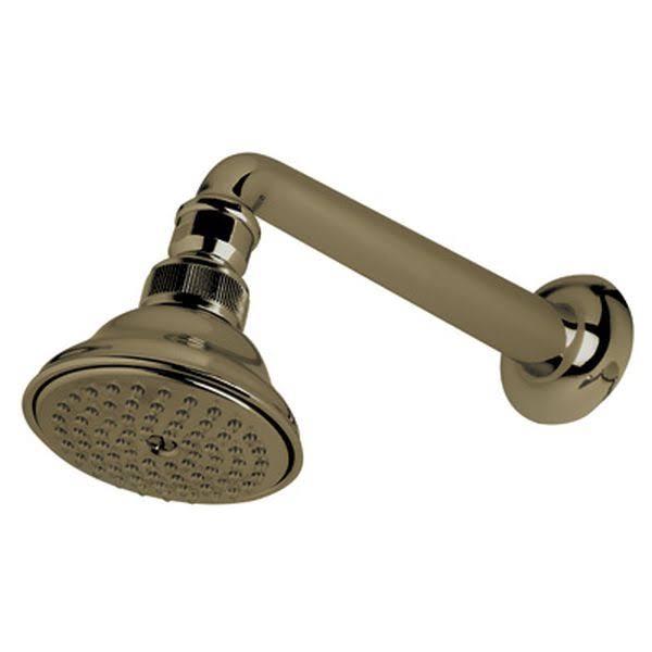 Tuscan Brass Shower Arm/Showerhead P106586