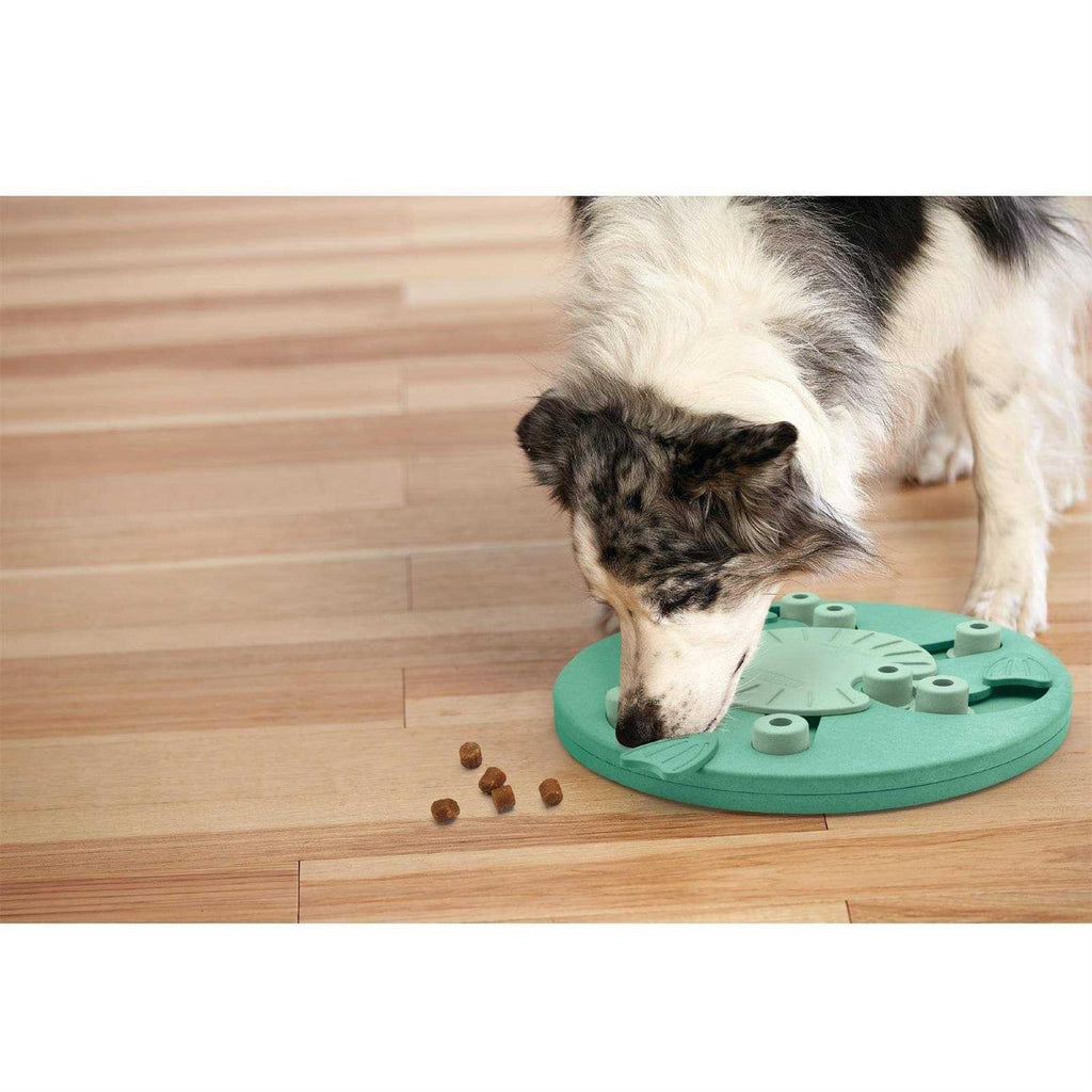 Interactive Puzzle Dog Toy T40474