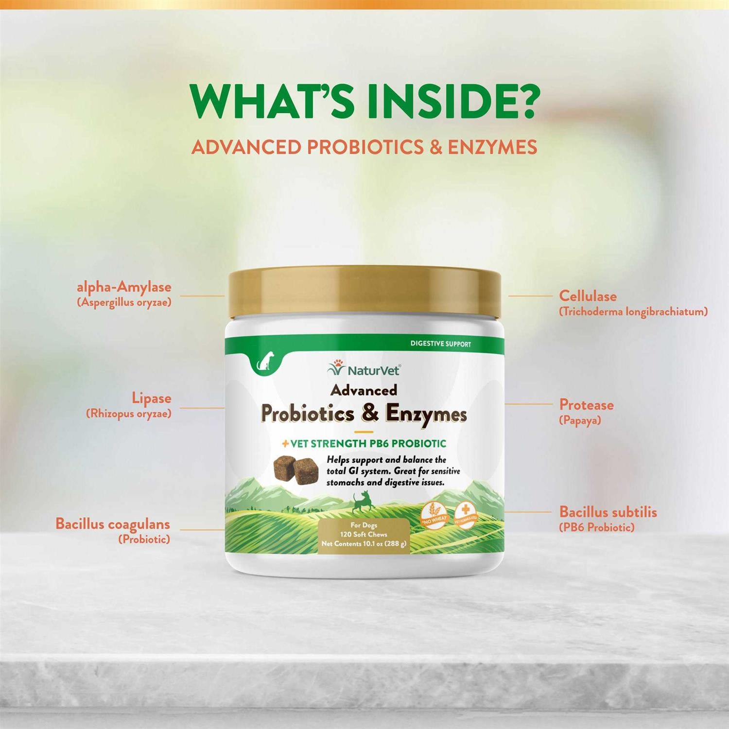 Advanced Probiotics Enzymes Q6733