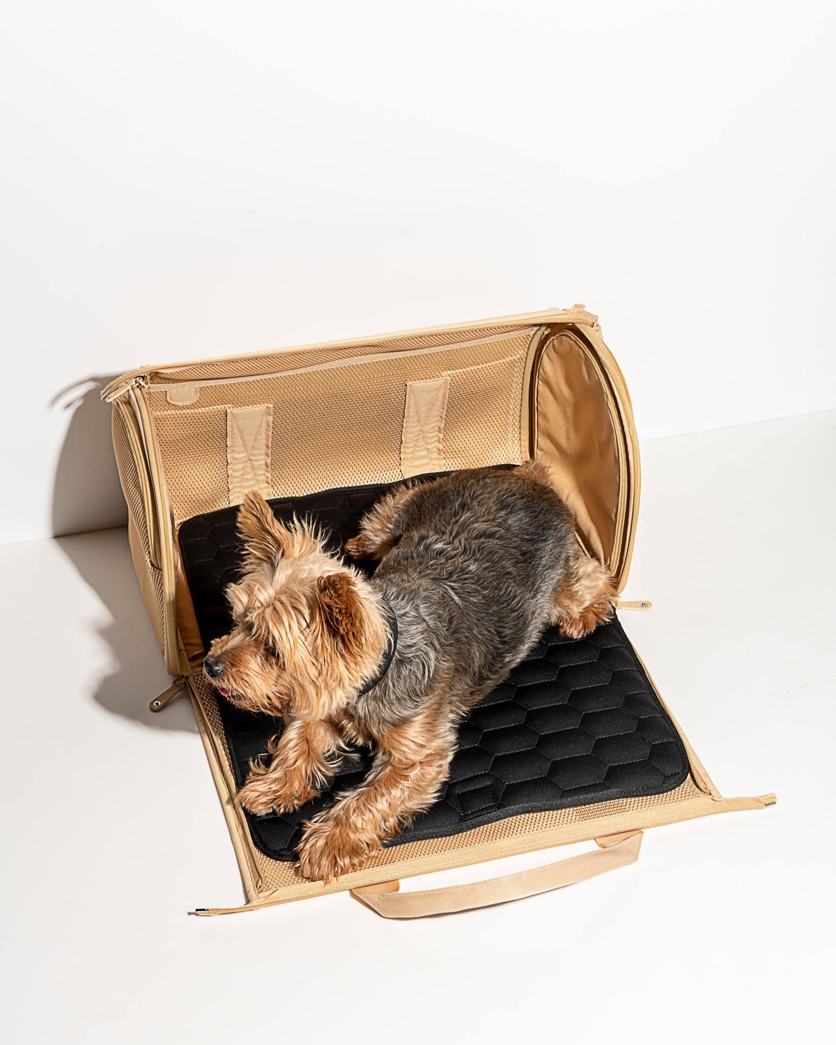 Black Travel Carrier R69670