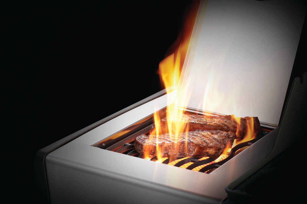 Stainless Steel Propane Gas Grill with Infrared Side Burner H246