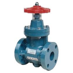 2x22 PVC Gate Valve R623
