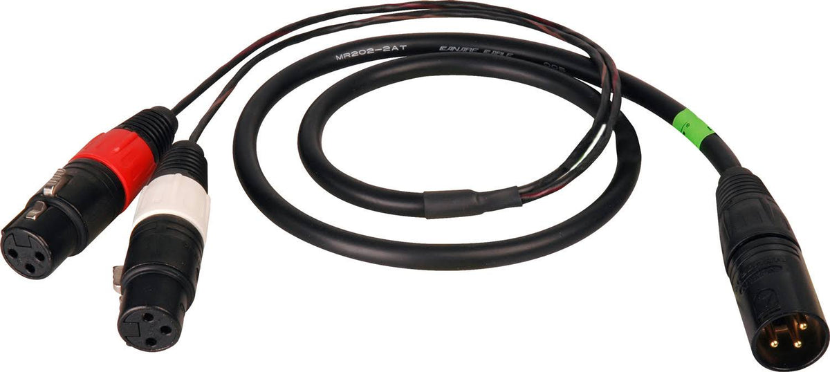 XLR Male to 2 XLR Female 10ft Y-Cable T95050
