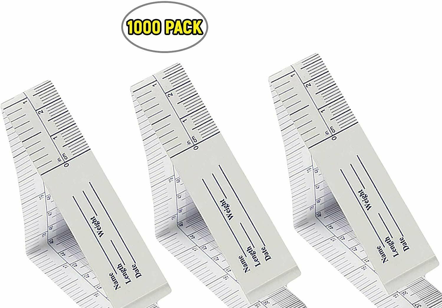 Paper Tape Measure English Scale A497