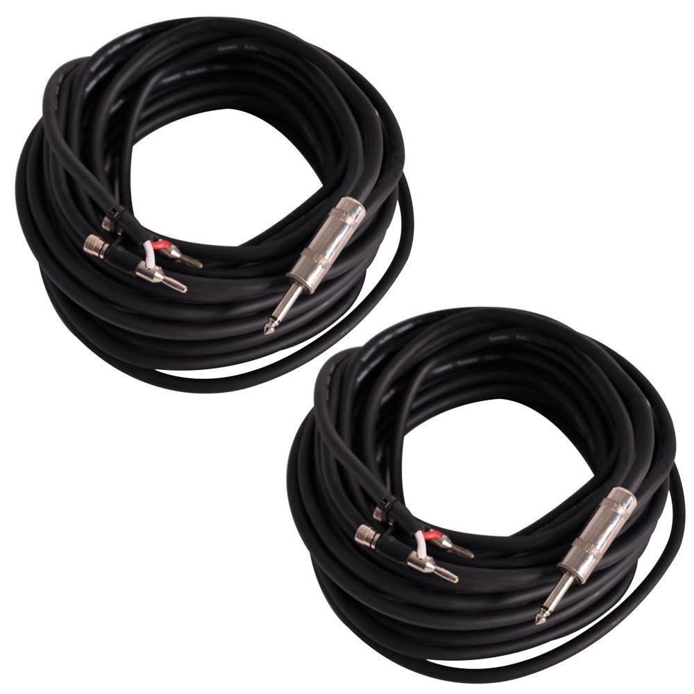 100 Foot Banana to 1/4 inch Speaker Cables U40273