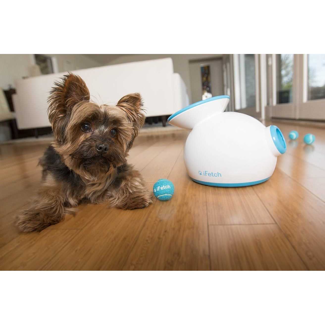 Interactive Dog Ball Launcher J444342