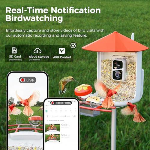 Bird Feeder with Camera N188018