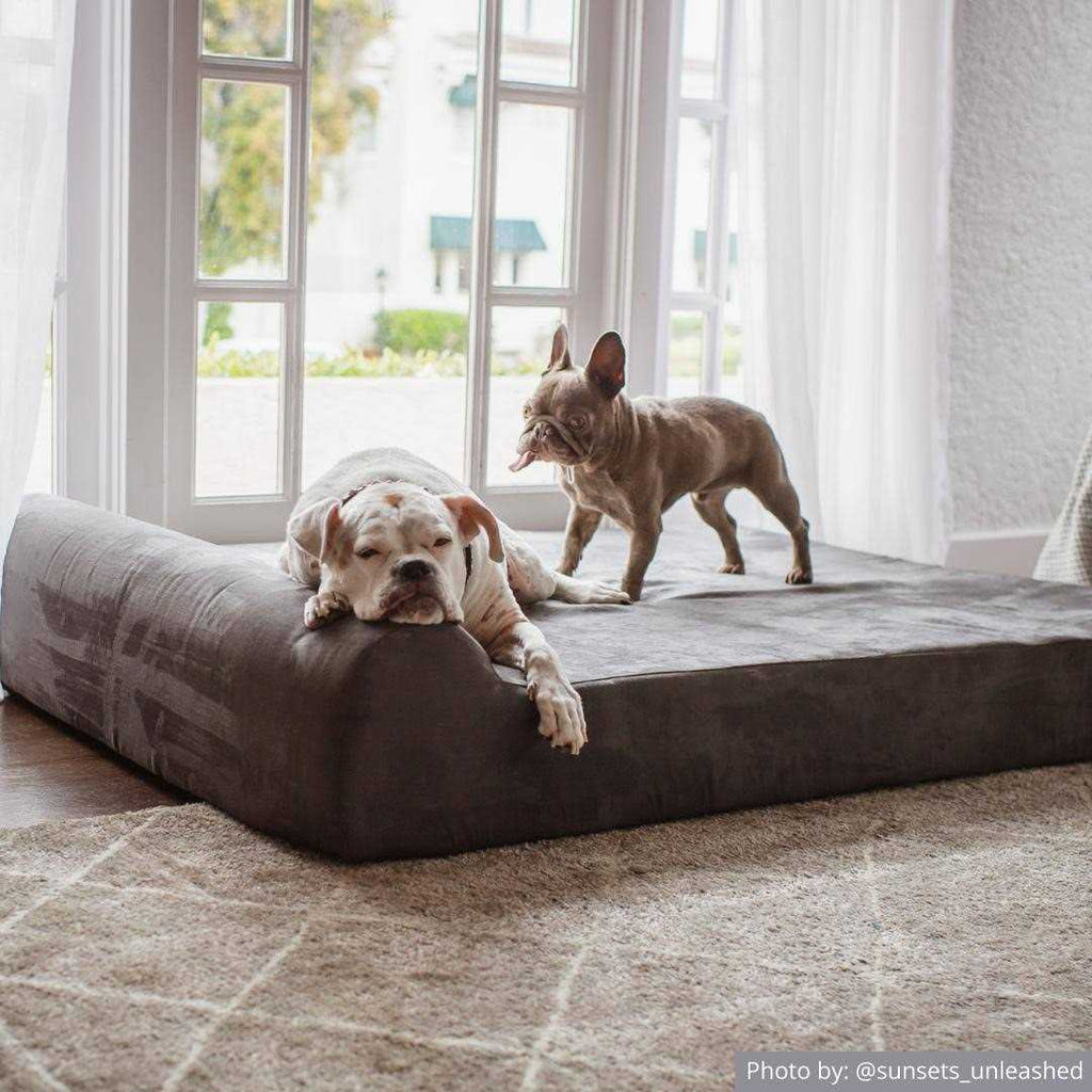 Orthopedic Dog Bed P45733