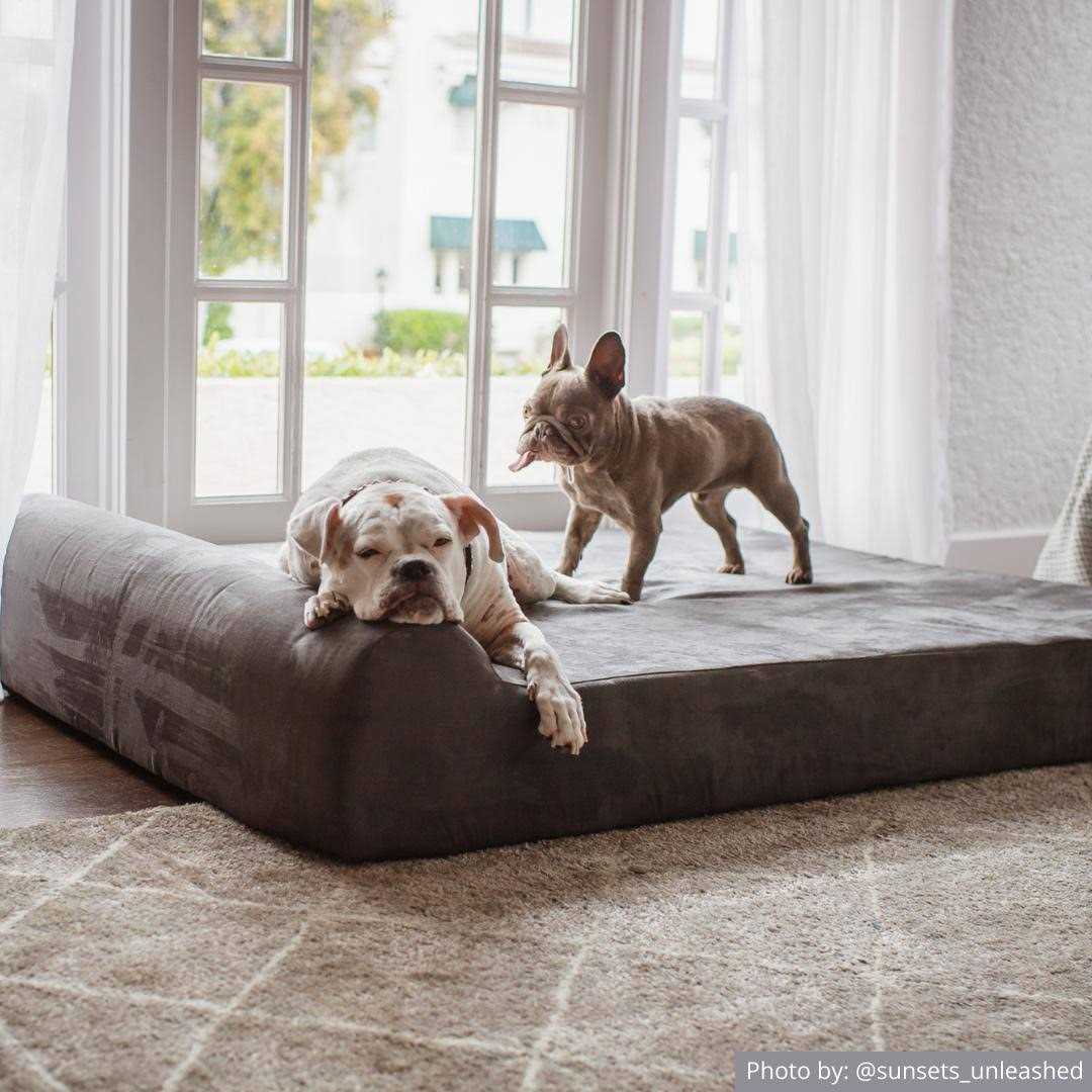 Orthopedic Dog Bed P45733