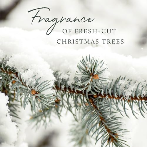 Frasier Fir Pine Needle Candle (2 oz) L3312
