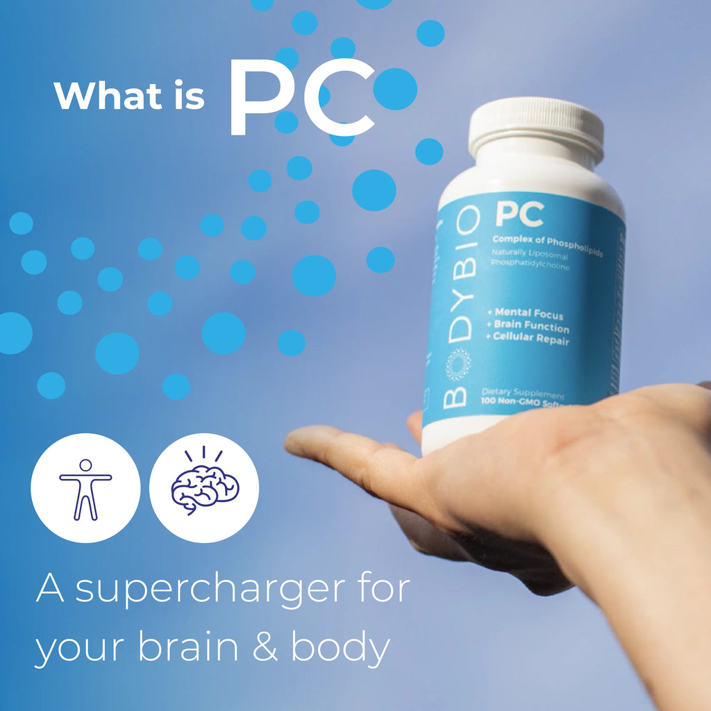 8 fl. oz. Phosphatidylcholine Supplement Y44821